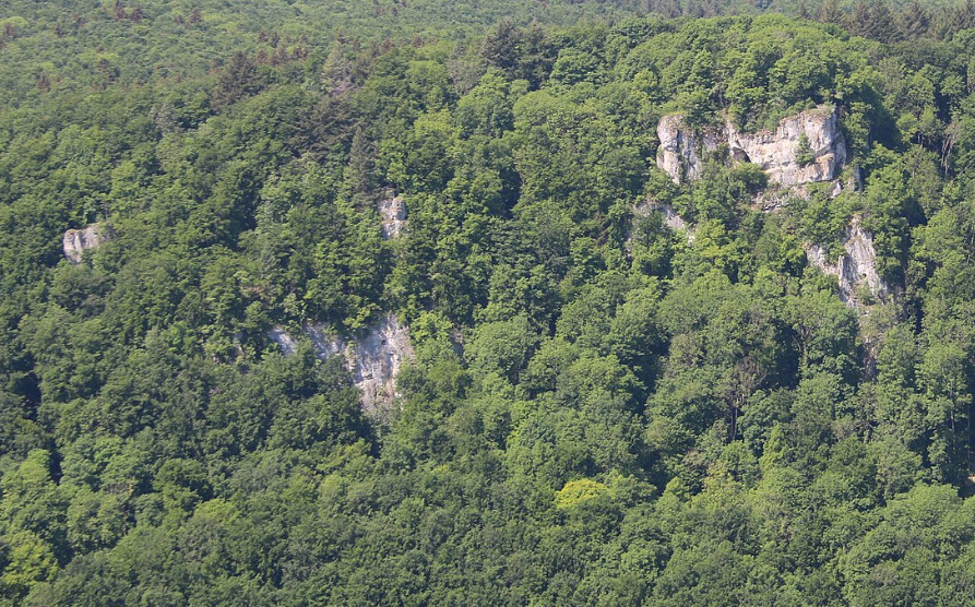 Ruine Wuelstein (Burgstall), Germany